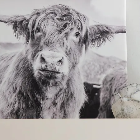 Kuenstlerhaus Rosenthal 02